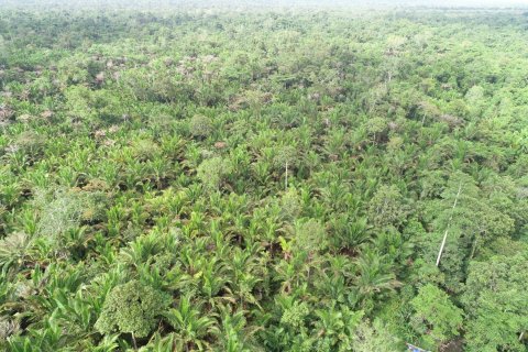 Pemetaan Dusun Sagu